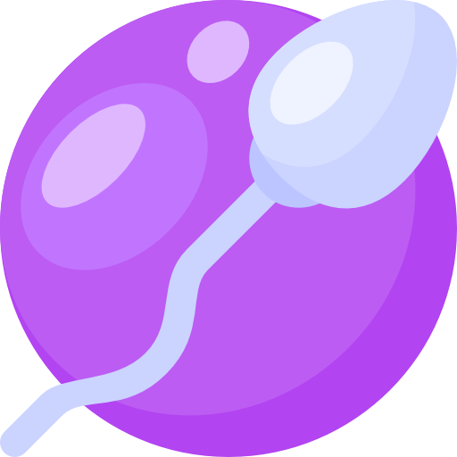 IUI (Intrauterine Insemination)